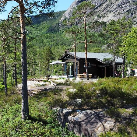 Cosy Cabin Between Lake And Mountain Treungen Dış mekan fotoğraf