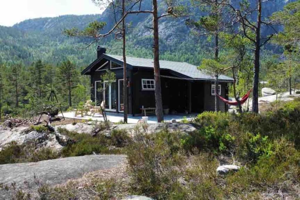 Cosy Cabin Between Lake And Mountain Treungen Dış mekan fotoğraf