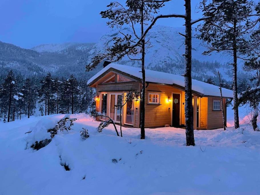 Cosy Cabin Between Lake And Mountain Treungen Dış mekan fotoğraf
